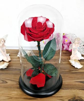 China Beautiful Rose Flowers Wall Eternal Rose Celebration Christmas Day Gift Preserved Rose Flower In Glass Dome for sale