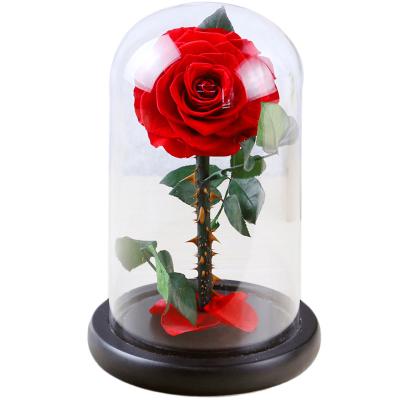 China Hot Sale Real Rose Flower Stabilized Rose Preserved Rose Flowers In Glass 2021 Mother's Day Remembrance for sale