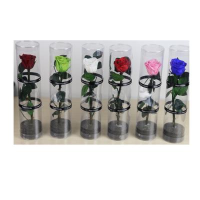 China Making Gift Box High Quality Craft Simple Rose Colorful Real Touch for sale