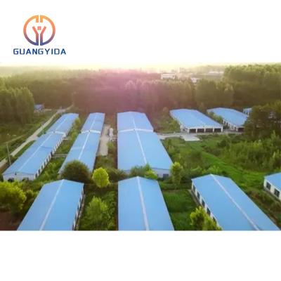 China China Supplier Traditional Prefab Steel Structure Cattle Frighten Farm Hog Shed Building for sale