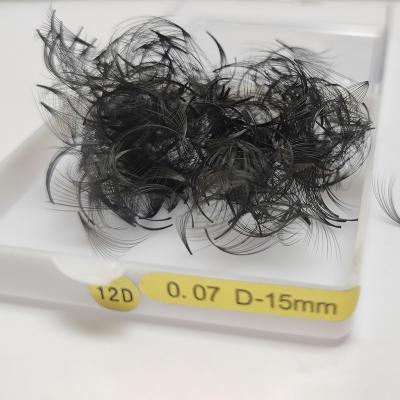 China Long Natural Russian 7D 8D 12d 0.07 Promade Volume Fan Eyelash Extension 20d Volume 0.07 C D Fan Loose Lashes for sale