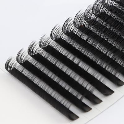 China Professional Extra Long Matte Black Fiber Volume Eyelash Extensions Natural Long Wholesale Suppliers for sale