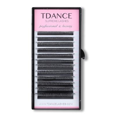 China Wholesale TDANCE YY Logo Sensitive Custom Eyelash Extensions Faux Mink Lashes Extension Dark Black YY 2D Lashes for sale