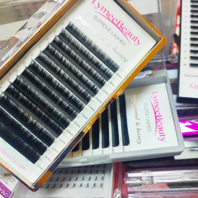 China Professional Full Volume Mink Individual Mink Eyelashes Lashes Extension Natural Person for sale