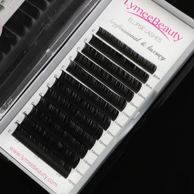 China Lightweight And Soft Single Lashes Tray 0.15 0.20 C D Faux Mink Flat Ellipse Matte Bulk Eyelash Extensions for sale