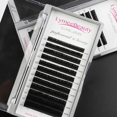 China Wholesale Full Volume Lymeebeauty 0.03 0.05 0.07 Flat Eyelash Extensions 20mm 25mm 30mm Ellipse Lashes Flat Lashes for sale