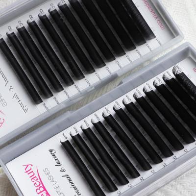 China Full Volume Custom Private Label Free Samples Las Extension Supplies Individual Eyelash Extension for sale