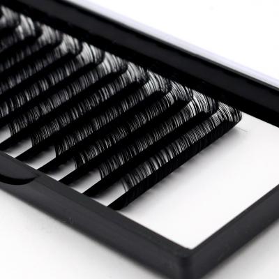 China Custom Lymeebeauty Full Volume 6-25mm 0.03mm0.05mm 0.07mm C cc D Dual Density Curl Cashmere Matte Black Eyelash Extensions Custom Logo for sale