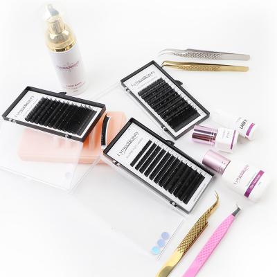 China TDANCE Natural Lash Extension Matt Flat Ellipse Lash Extensions 2022 Different Popular Flat Ellipse Flat Lash Double Tips for sale