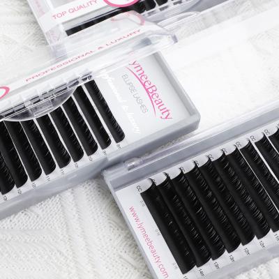 China TDANCE Flat Tips Light And Soft Matte Ellipse Two Different Flat False Eyelash Extensions for sale