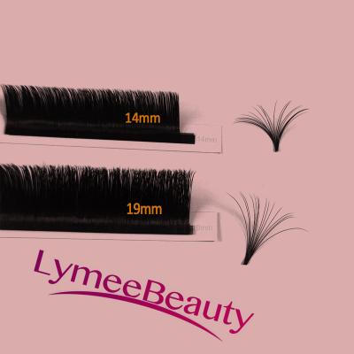 China TDANCE Dual Density Long Loop Fan Natural Russian Easy Soft Cashmere Eyelash Lash Lash Extensions Quick Fanning for sale