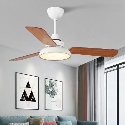 China Walnut Modern Color Ceiling Fan Light Solid Wood Living Room Dining Bedroom Nordic Mute American LED Fan Light for sale