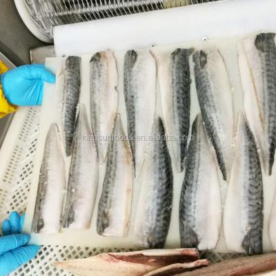 China Factory Direct Supply Good Quality Frozen Atlantic Mackerel Fillet in Mackerel for sale