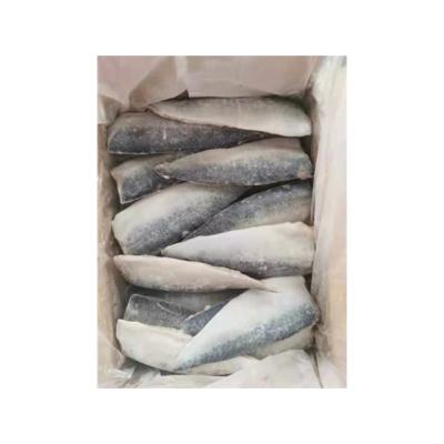 China High quality Delicious Frozen Mackerel fillet for sale