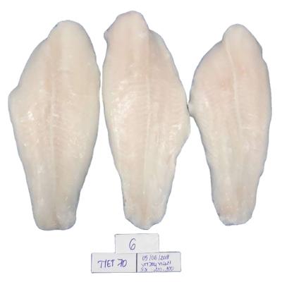 China Frozen Vietnam Pangasius Fillet Basa Fillet for sale