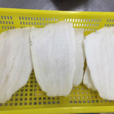 China Frozen Arrow Tooth Flounder Fish Filllet for sale