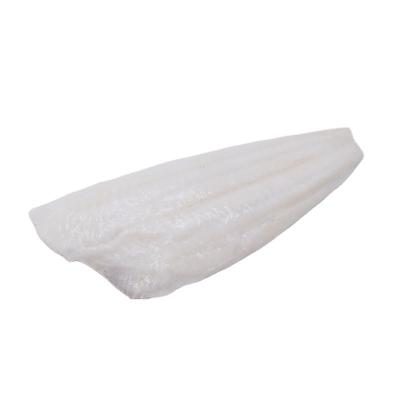 China New Processing Frozen Arrowtooth Flounder Fillet For Sale for sale