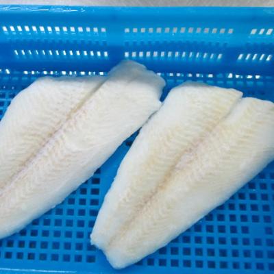 China Frozen tooth flounder fillet Fresh flounder fish for sale