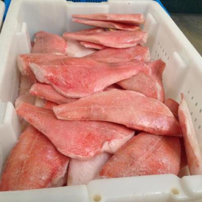 China Wholesale FAO 27 Red fish fillet Redfish Fillet for sale