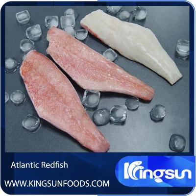 China Wholesale FAO 27 Red fish fillet Redfish Fillet for sale