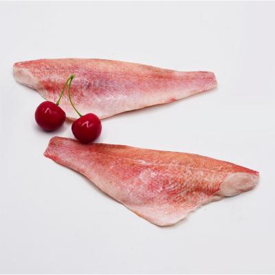 China New Season Frozen Atlantic Redfish Fillet for sale