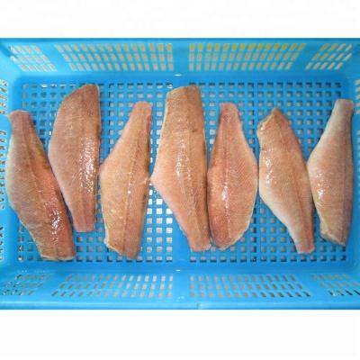 China Good Quality Frozen Fish Fillet Pacific Ocean Perch for sale