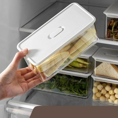 China Creative Transparent Plastic Refrigerator Food Rack Storage Vegetable Food Grade Freezer Kitchen Freshness Keeping Chamber Hanging Organizer for sale