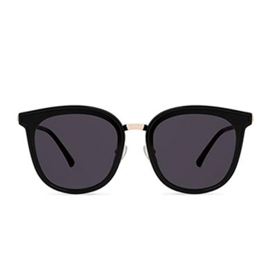 China Fashion Sunglasses Polarized UV Sunglasses Sun Glasses Shape Sun Glasses Glasses Sunglasses for sale