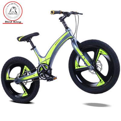 China Street Children Exercise Bike Bird King Child Balance Bike Sports Kids Outdoor Children Balance Bike for sale