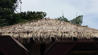 China Customized Synthetic Thatched Cottage Roof for Roofing Decorative Needs Solution for sale