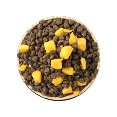 China Viable Factory Shipped Cat Food Best-Selling Pet Supplies and Dog Foods for sale