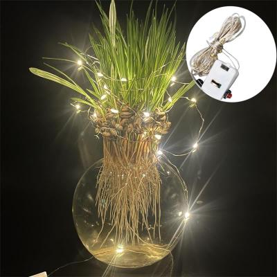 China Modern Led Flower Decorative Gift Box Cake Lamp Box Battery Button String Copper Wiring Lamp Decorative Warm Yellow Belt for sale