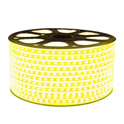 China LANDSCAPE CE RoHS Waterproof 5050 RGB LED Strip Light Holiday Led Strip Light for sale