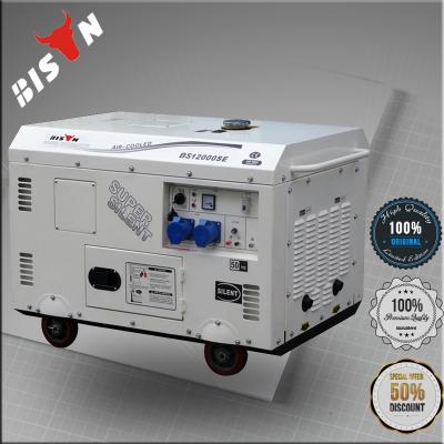 China Small generator supply electric power for home use BISON (CHINA) Chinese factory price diesel generator 10 KVA for sale