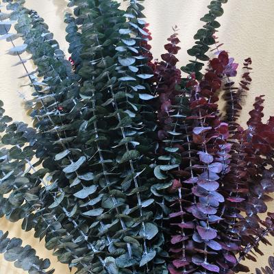 China Wedding Decoration Indoor Outdoor Home Decor Blue Green Red Eucalyptus Leaf Stems Apple Leaf for sale