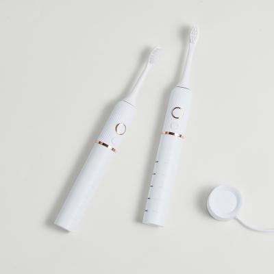 China AUZZO Household Sonic Vibration Electric Toothbrush Rechargeable Sonic Electric Toothb Cleaning Electric Toothbrush for sale