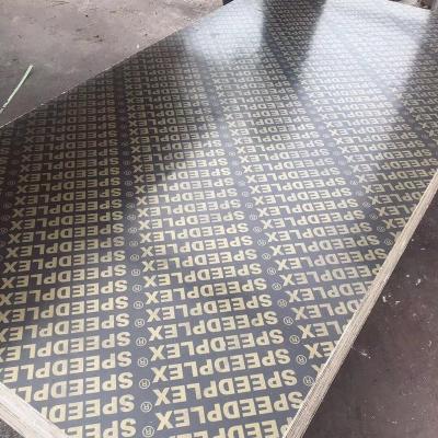 China Industrial Phenolic Film Faced Plywood For Concrete Construction Formwork Use for sale