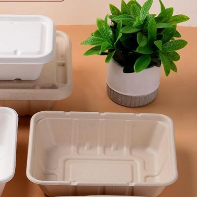 China Factory Price High Quality Good Paper Cardboard Box Lunch Box Tableware Paper Container Pulp Molding Machine for sale