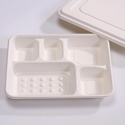 China Minimalist Automatic Pulp Molding Machine Sugar Cane Bagasse Paper Egg Tray / Tableware Food Container / Box for sale