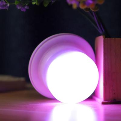 China Modern RGB Color Changing Waterproof Solar LED Christmas Lights Decoration for sale