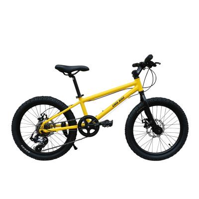 China Kids Bike 20 Inch Mountain Bike Children's Aluminum Alloy Variable 6 Speed ​​Foldable Bicycle 6-12 Years Old Kids Girls Boys Cycling Accessories for sale