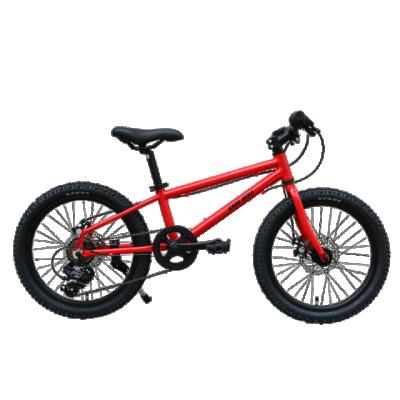 China Kids Bike 20 Inch Foldable Kids Bike Variable 6 Speed ​​Bicycle Aluminum Alloy Frame For 6-12 Years Old Boys Girls Kids for sale