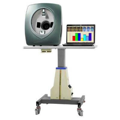 China face analyzer magic system 666 for sale