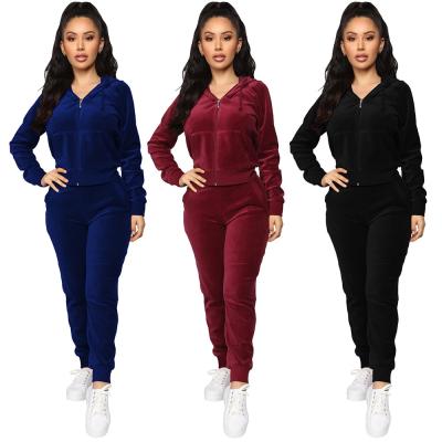 China Breathable Fashion Casual Long Sleeve Sports Jogging Suit Training Sportswear With Zipper Hoodie Velor Sportswear Two-Piece Suit for sale