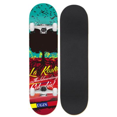 China Wholesale 7ply Ardea Adult Canadian Maple Skateboard Deep Concave Kick Girl Bake Profesional Custom Skateboard For Adult for sale