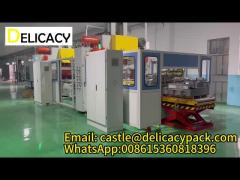 Delicacy Brand fully automated 2-piece can production line