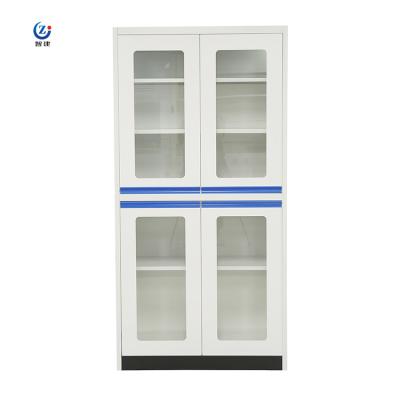 China Secure And Durable Lab Storage Cabinet For Your Valuable Equipment for sale