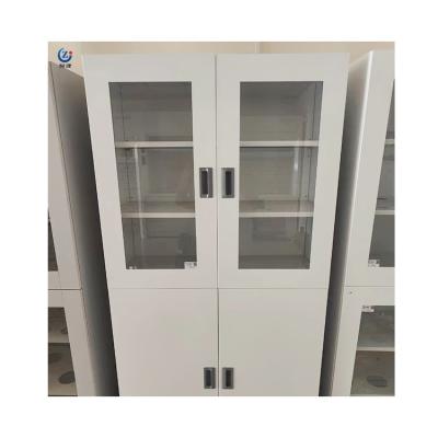 China Assembled Steel Lab Furniture Storage Cabinet With Reinforced Doors And Vented Adjustable Shelves for sale