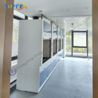 China Low Maintenance Steel Fume Hood with High Airflow and Optional Fan for sale