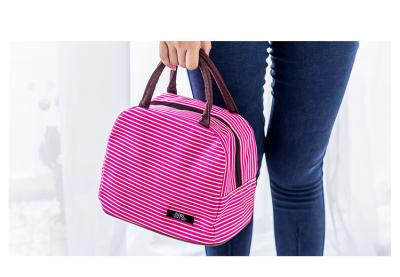 China Beautiful Appearance Insulated Lunch Bags 24*17*21cm Dimension Light Weight for sale